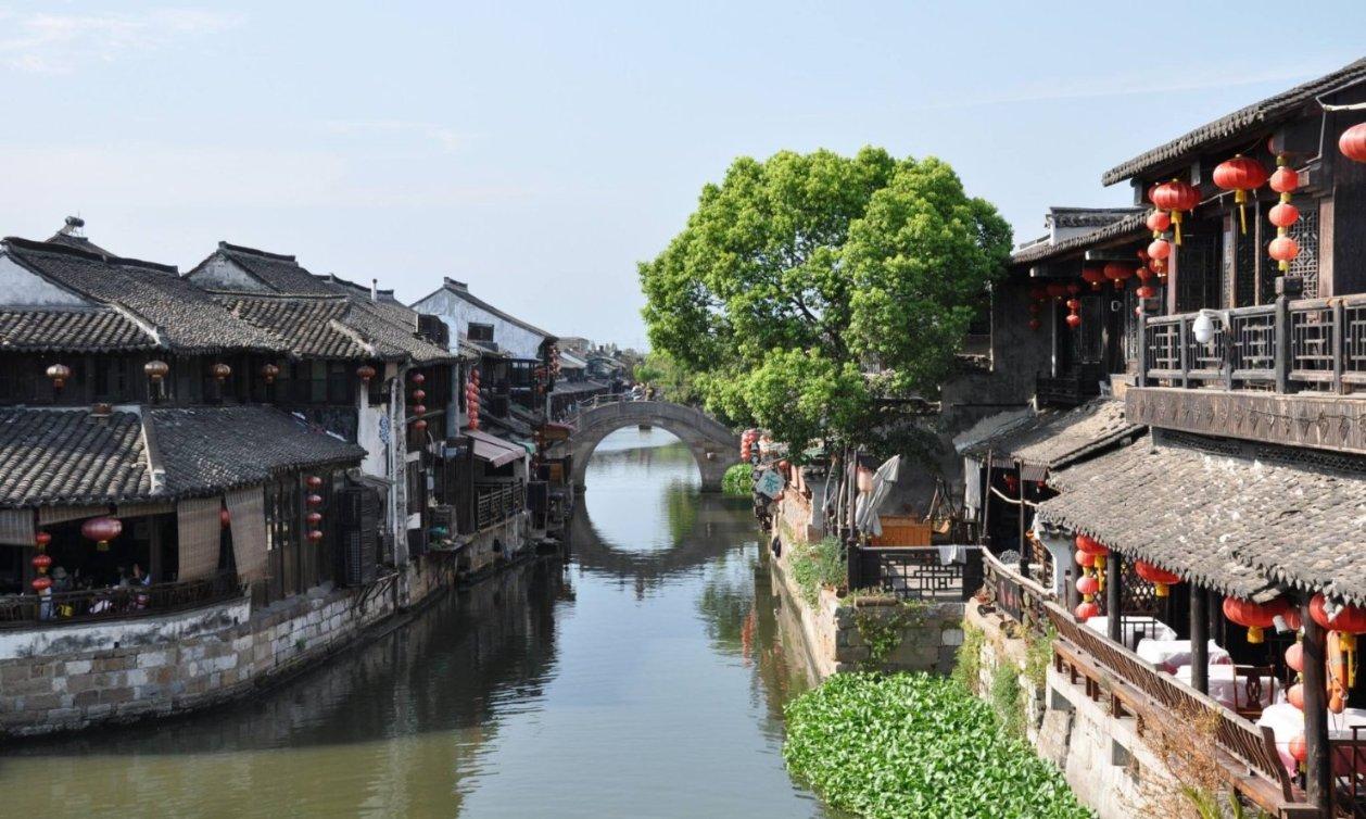 为什么心理咨询师必学人本?人本主义入门必修